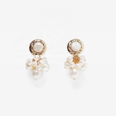 Amazon hot traditional vintage imitation natural irregular baroque hanging pearl earrings for female