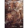 many designs metal circle restaurant party ceiling hanging decoration