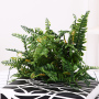 Flower king brand high quality artificial home wedding decor succulents wedding green plant Flower king brand high quality artificial home wedding decor succulents wedding green plant