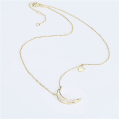 fashion girl women fancy gold plated round chain jewelry14K gold natural shell necklace