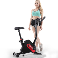 Factory Home Indoor Gym Equipment Fitness Body Fit Magnetic Exercise Bike