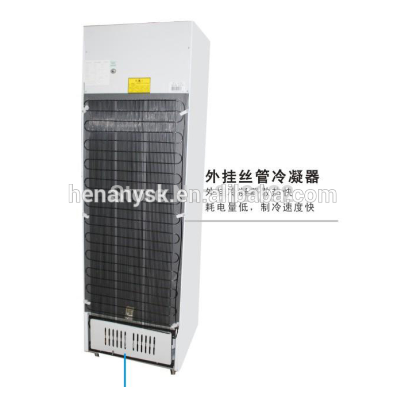 2017 New Food Grade Upright Glass Door Display Freezer of ISO9001 Standard