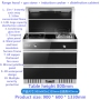 Integrated Stove Ih Cooker Multi-functional Gas And Electric Range Smoke Lampblack Machine Disinfection Cabinet Lower Row Type