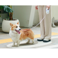 New Retractable Dog Leash Luminous Pet Traction Rope Automatic Telescopic Dog Walking Rope Dog Collar And Leash Set