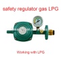 Pressure Valve LPG Gas Big Flow Volume Pipeline Pressure Valves Gas Regulator Technology Safety Relief Valves for Gas/ LPG