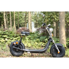 EU warehouse stock SC10 with EEC/COC certificate 1500w motor 60v-12/20ah battery electric scooter VAT