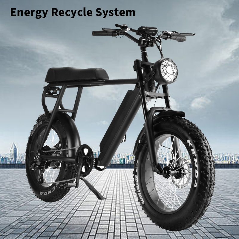 EU Warehouse Fat wheel Foldable Mountain Adult Road Bikes Electric Bicycle
