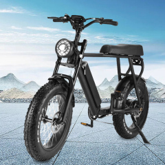 Склад ЕС Fat Wheel Складные горные взрослые дорожные велосипеды Электрический велосипед