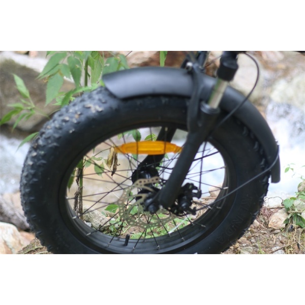 Европейский электрический велосипед 500w ebike складной взрослый электрический велосипед с 20-дюймовой горной шиной и съемным аккумулятором 48v15ah