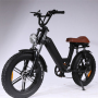 500W 48v 10ah Li batterie 2022 moteur vélos électriques prix ue entrepôt 20 pouces gros pneu E moteur électrique vélo