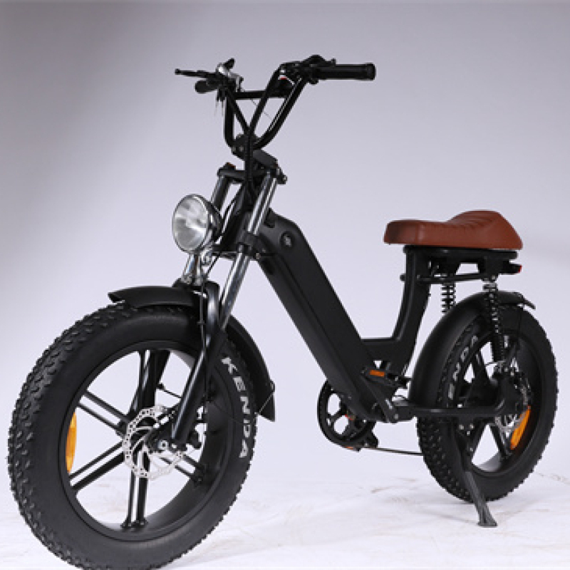 500W 48v 10ah Li Battery 2022 Motor Electric Bicycles Price EU Warehouse  20inch Fat Tire E Electric Motor BIke