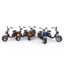 3000w eec citycoco motocicleta retro scooter eléctrico dos ruedas EU stock