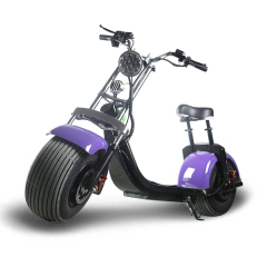 E-Mark CE-geprüfter billiger Citycoco EWG-Motorrad-Elektroroller zu verkaufen