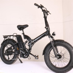 Склад ЕС 250 Вт / 500 Вт / 750 Вт электрические велосипеды для взрослых Складной горный велосипед с 20-дюймовой толстой шиной Съемный аккумулятор 48 В