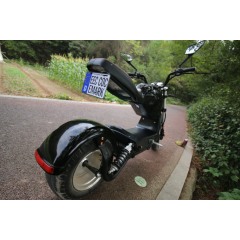 Bicicleta eléctrica citycoco de 1500 w con scooters EEC stock en almacén de la UE