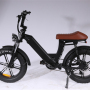 500W 48v 10ah Li batterie 2022 moteur vélos électriques prix ue entrepôt 20 pouces gros pneu E moteur électrique vélo