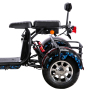 Moto électrique 1500W pour tricycle à moteur électrique adulte avec pneus de 10 pouces puissance de la batterie de voiture à moteur 60v-20ah