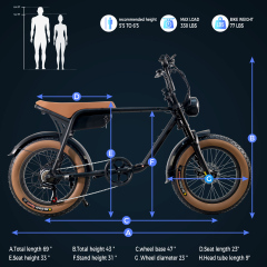 2024 entrepôt de l'ue vélo électrique 250W 750W chine fabricant 20*4.0 pouces 48v 15ah batterie amovible vélo électrique Fatbike