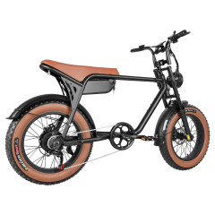 2024 almacén de la UE bicicleta eléctrica 250W 750W fabricante de China 20*4.0 pulgadas 48v 15ah batería extraíble bicicleta eléctrica Fatbike