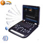 Laptop 3D 4D ultrasound machine portable 15 inch price color doppler