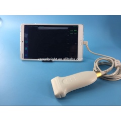 Windows Android USB Type-C 4-11 Mhz Ultrasound Probe MSK Vascular