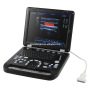 Wireless digital 128 elements 3D laptop vet human therapeutic ultrasound scanner
