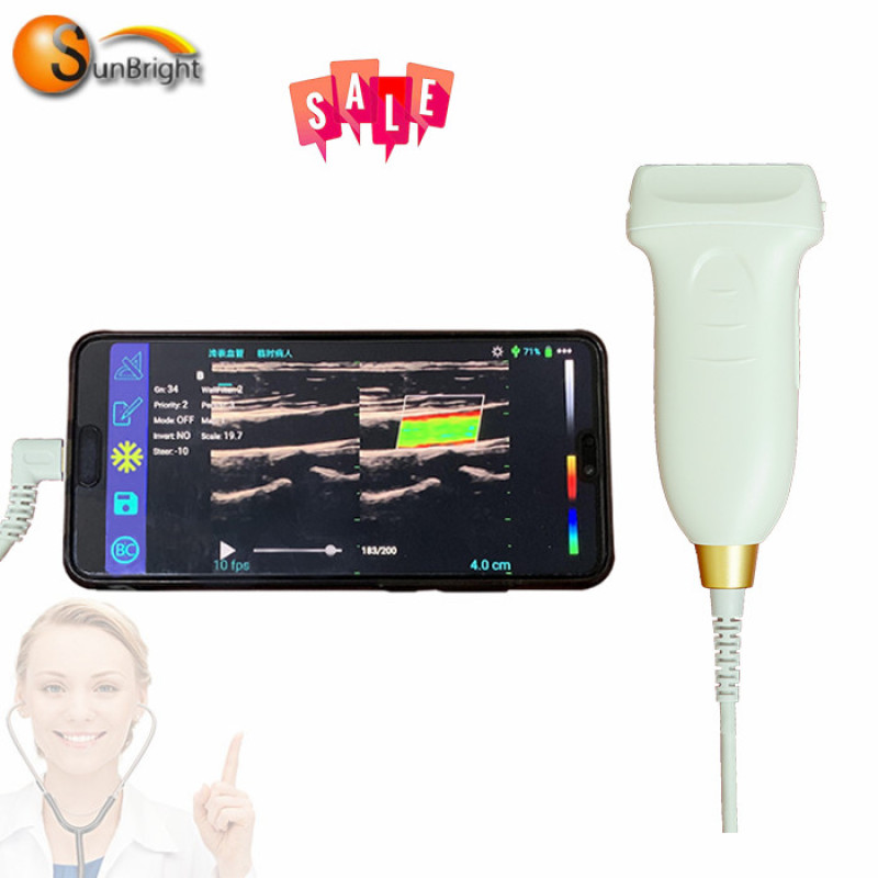 Hot sale color Doppler Type C linear ultrasound probe vet ultrasound probe