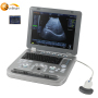 Cheaper price Mini Portable echography 3d ultrasound machine for sale