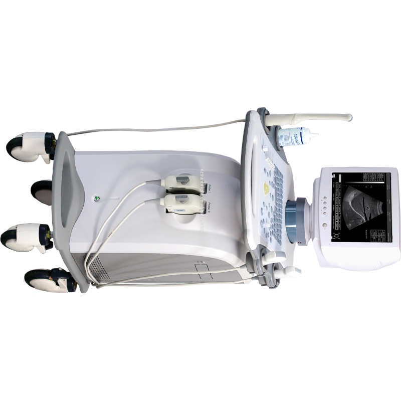 초음파 트롤리 새로운 도착 심장 전문의는 의학 트롤리 3D 초음파 스캐너 SUN-808L를 사용했습니다