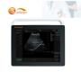 BW Portable Laptop color LED disply touch screen ultrasound scanning instrument
