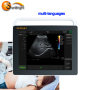 Mini máquina de ultrasonido Doppler médica portátil con pantalla táctil de 15 pulgadas UTILIZADA