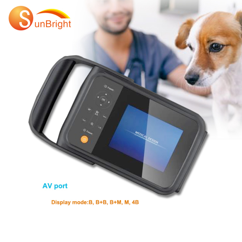 trolley cart ultrasound B/W ultrasound machine 3D trolley ultrasound scanner with low price