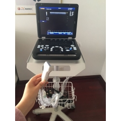 Portable 4D Color doppler ultrasound machine box cardiac phased array probe color Doppler