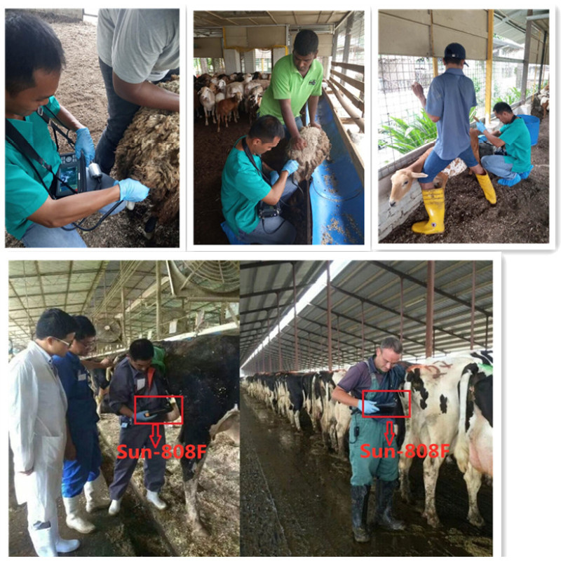 best veterinary ultrasound machine Cardiac Ultrasound Screen Hot Sale Ultrasound with 2 USB Ports