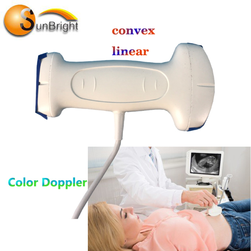 Sonde à ultrasons 192 éléments Tablette PW Sondes USB de type C Sonde linéaire convexe Doppler