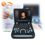 portable high intensity ultrasonography machine clinical machine cardiac ultrasound transducer