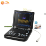 Human hospital use 3D laptop color Doppler ultrasound scanner price with 2 probe connectors