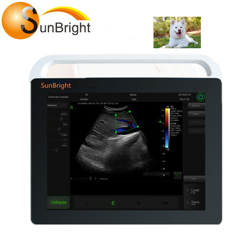 Tablet tragbare voll digitale Tiere Ultraschall Veterinär Scan Touch Farbbildschirm