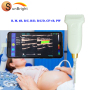 Ультразвуковий сканер для свиней Pad Smart Phone Використовуйте Linear Probe USB Color Doppler виробник