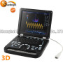 High end 3D PW Color Doppler china vet ultrasound Animals USG