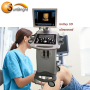Hot sale Sonoscape 3D 4D general electric trolley ultrasound Scanner Echo Ultrasound