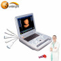 Medical Echography laptop 3D pregnancy scanner ultrasound sheep
