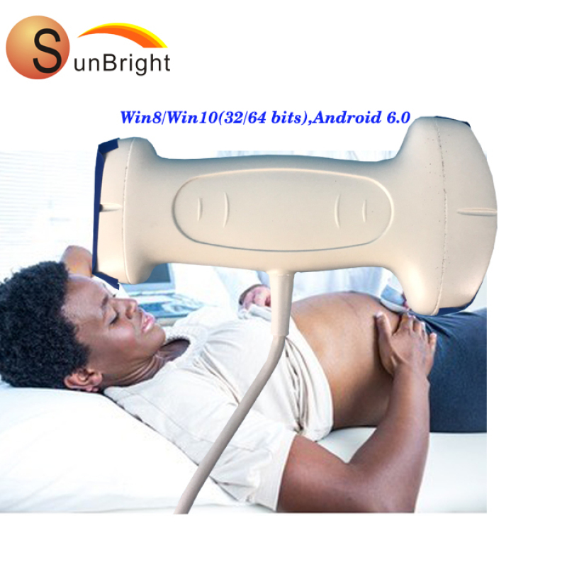 rectal linear probe human animals use color Doppler double head convex linear probe