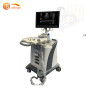 Machine à ultrasons Doppler couleur à injection guidée par ultrasons stationnaire 4D CW à chariot Doppler 4d