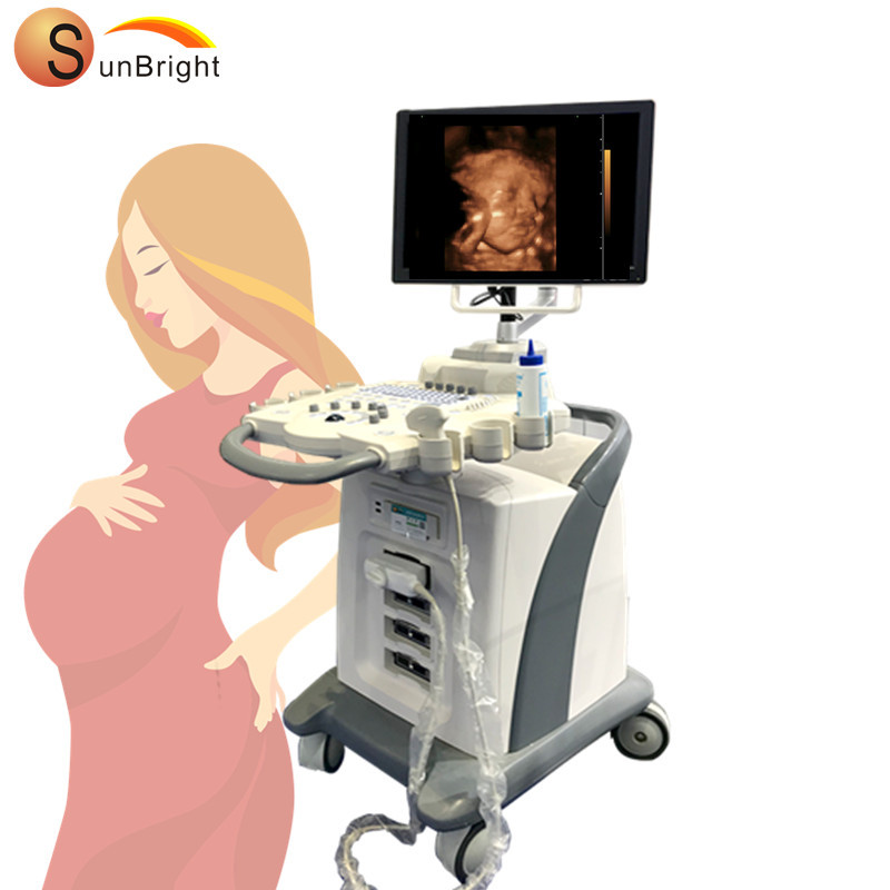 Trolley Color Doppler 4D Ultrasound Machine price