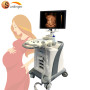 Trolley Color Doppler 4D Ultrasound Machine price