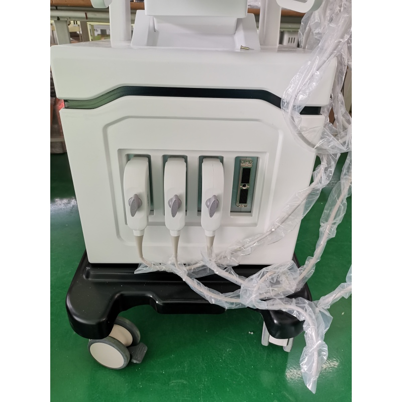 Medical equipment echo machine trolley musculoskeletal/cardiac best quality color doppler ultrasound