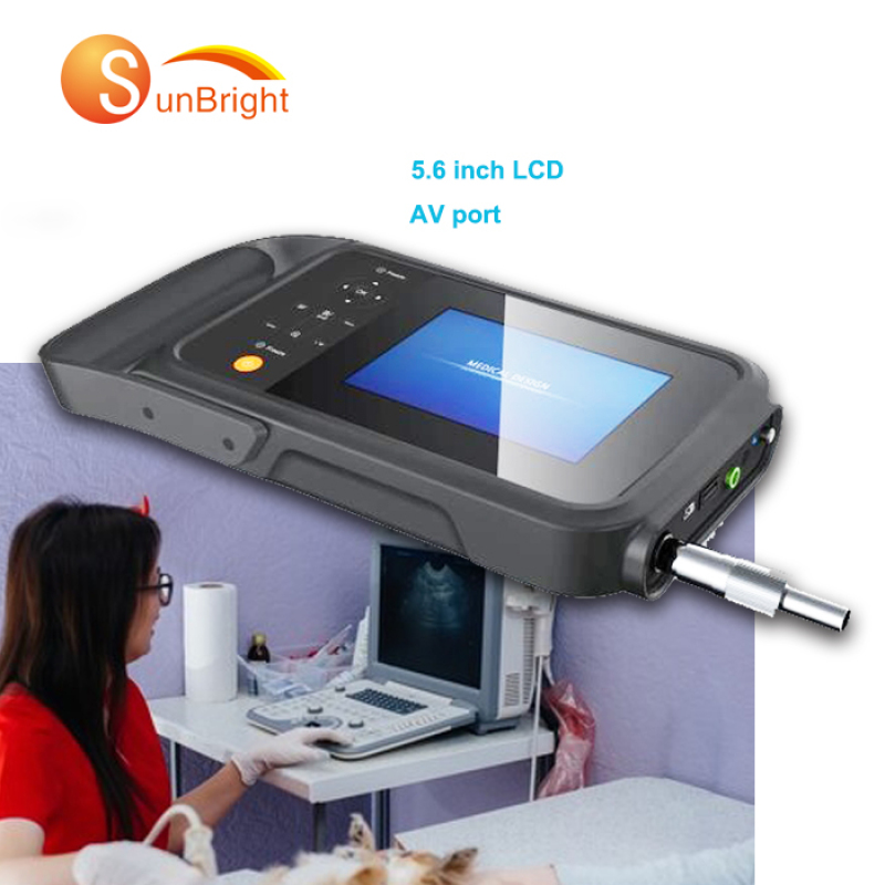 건강 2D 간편한 노트북 미니 사이즈 중국산 수의학 동물 임신 초음파 장치
