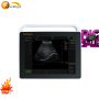 Factory Wholesale Price Veterinary Animal Doppler Portable Ultrasound Scanner Equipment