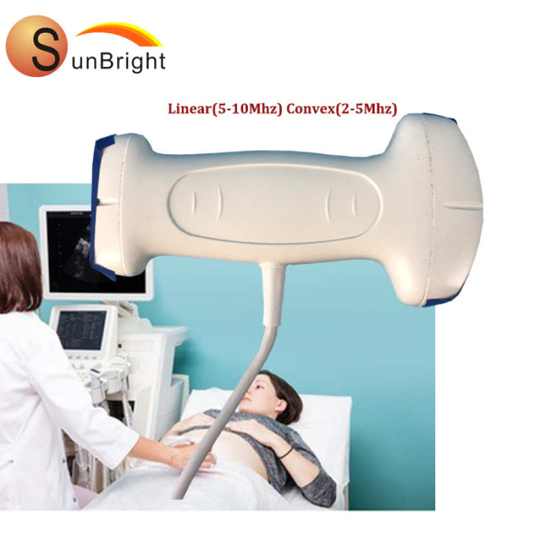 Sonde à ultrasons USB 2 en 1 à double tête, sonde convexe 3.5 MHz et sonde linéaire 7.5 MHz avec 128 éléments